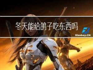 冬天能给鸽子吃东西吗