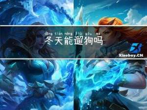冬天能遛狗吗