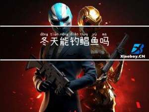 冬天能钓鲳鱼吗