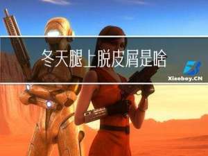 冬天腿上脱皮屑是啥