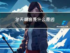 冬天腿痒是什么原因