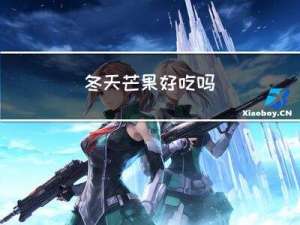 冬天芒果好吃吗