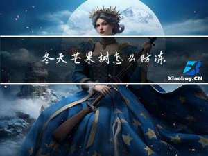 冬天芒果树怎么防冻