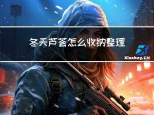 冬天芦荟怎么收纳整理