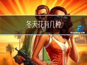 冬天花有几种