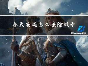 冬天苍蝇怎么去除蚊子