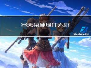 冬天茶杯放什么好