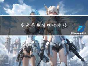 冬天茶梅可以喷水吗