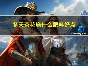 冬天茶花施什么肥料好点