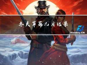 冬天草莓几月结果