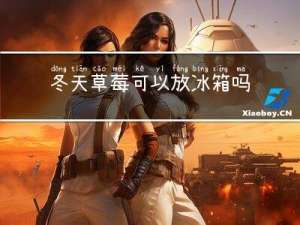冬天草莓可以放冰箱吗