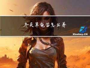 冬天草龟苗怎么养