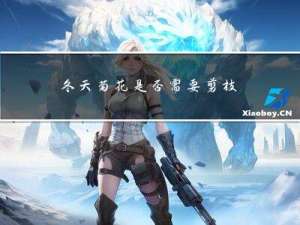 冬天菊花是否需要剪枝