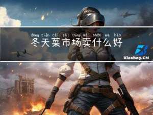 冬天菜市场卖什么好