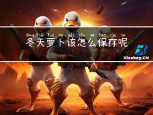 冬天萝卜该怎么保存呢