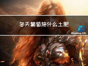 冬天葡萄施什么土肥