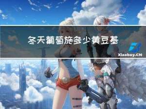 冬天葡萄施多少黄豆基肥