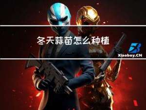 冬天蒜苗怎么种植
