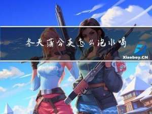 冬天蒲公英怎么泡水喝