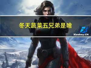 冬天蔬菜五兄弟是啥