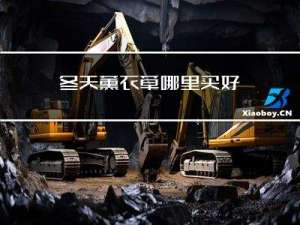 冬天薰衣草哪里买好