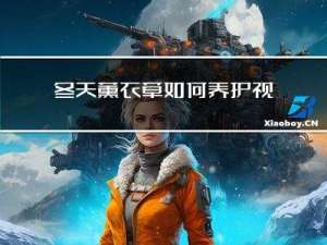 冬天薰衣草如何养护视频