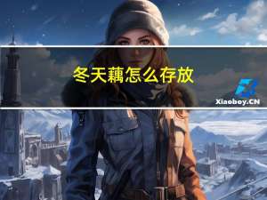 冬天藕怎么存放