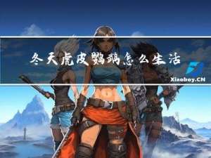 冬天虎皮鹦鹉怎么生活