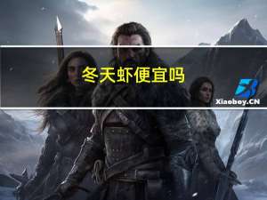 冬天虾便宜吗