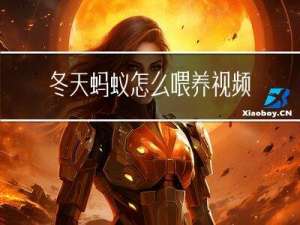冬天蚂蚁怎么喂养视频