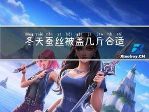 冬天蚕丝被盖几斤合适