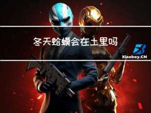 冬天蛤蟆会在土里吗