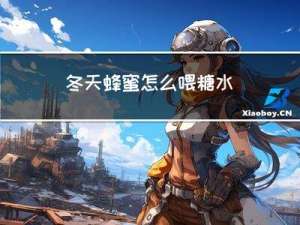 冬天蜂蜜怎么喂糖水