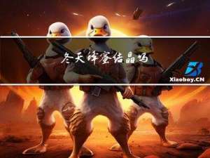 冬天蜂蜜结晶吗