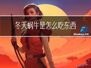 冬天蜗牛是怎么吃东西