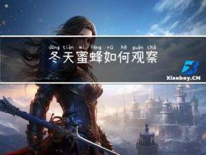 冬天蜜蜂如何观察