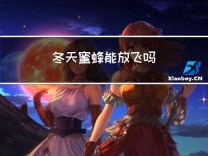 冬天蜜蜂能放飞吗