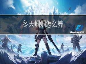 冬天蝈蝈怎么养