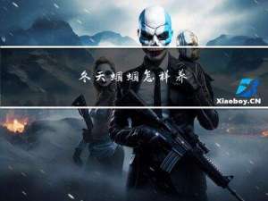 冬天蝈蝈怎样养