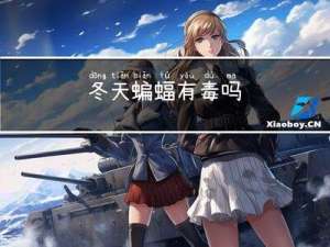 冬天蝙蝠有毒吗