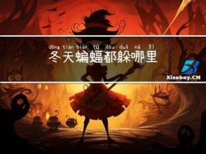 冬天蝙蝠都躲哪里