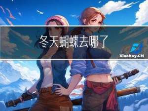 冬天蝴蝶去哪了