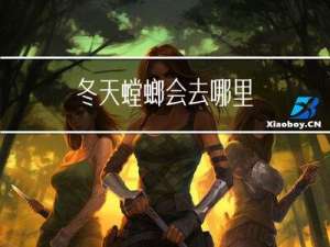 冬天螳螂会去哪里