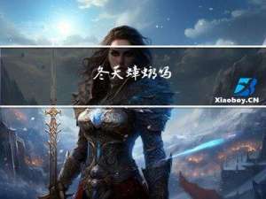 冬天蟑螂吗