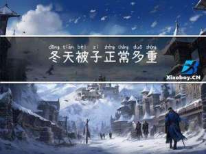 冬天被子正常多重