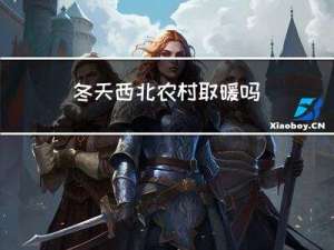 冬天西北农村取暖吗