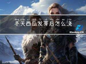 冬天西瓜发芽后怎么浇水