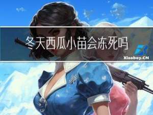 冬天西瓜小苗会冻死吗