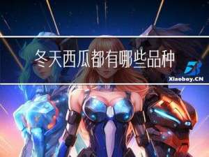 冬天西瓜都有哪些品种图片