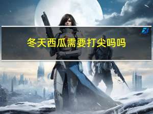 冬天西瓜需要打尖吗吗